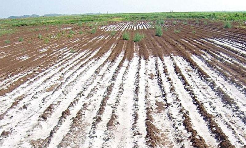 sindh
