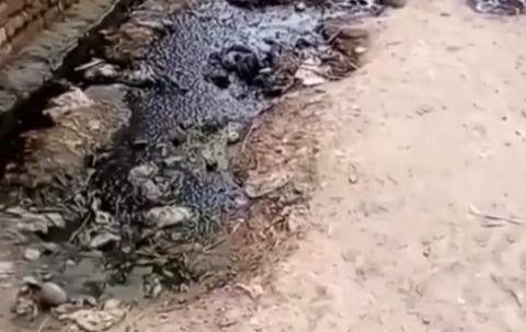 VideoCapture_20250727-191046