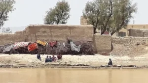 _126394606_2-shabinafaraz.jpg