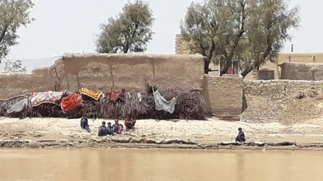 _126394606_2-shabinafaraz.jpg